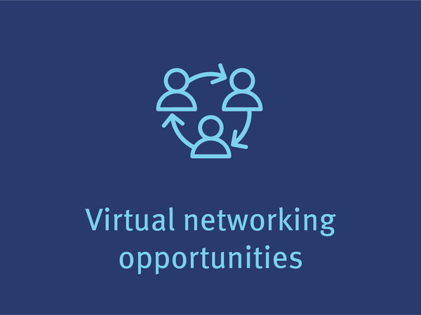 Virtual networking opportunities
