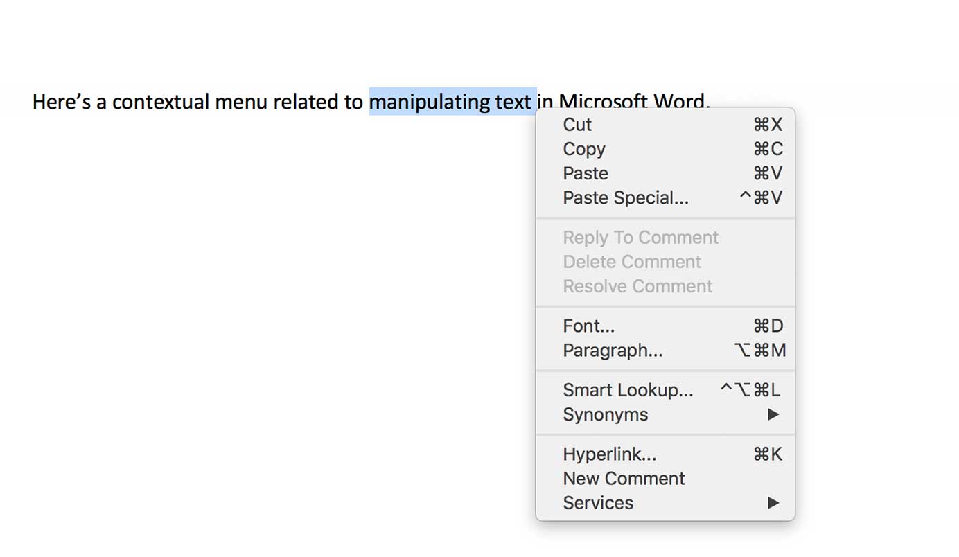 Context Menu for Text in Word